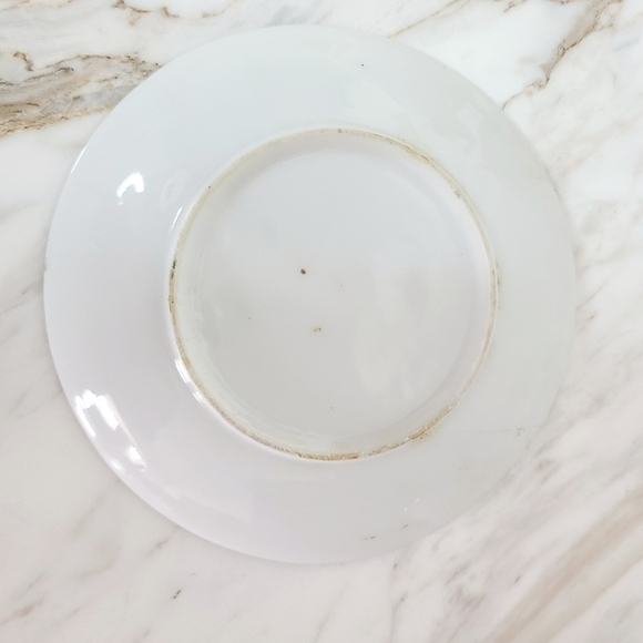 VTG Pennsylvania's Grand Canyon Souvenir Miniature Cup & Saucer Set - Picture 4 of 6